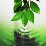 La celulitis en el embarazo: remedios naturales