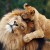 Foto del perfil de Rosy y DiDi con 4 mesesss..!