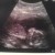 Foto del perfil de st3phani3