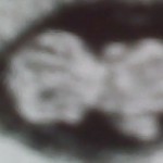 Foto del perfil de onlylove