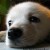 Foto del perfil de lunezzz lune