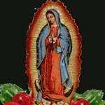 Foto del perfil de chicaliz