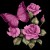Imagen de avatar