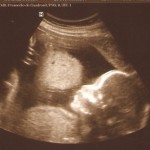Foto del perfil de viviana vargas castillo