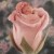 Imagen de avatar