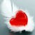 Imagen de avatar