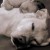 Avatar de LEXI