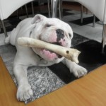 Foto del perfil de Rosario Wilder