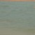 Imagen de avatar