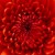 Imagen de avatar