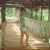Imagen de avatar