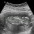 Foto del perfil de flais8