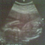 Foto del perfil de shily1704