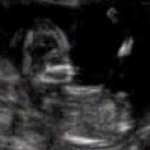 Foto del perfil de danitha