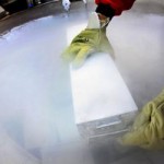 ¿Se puede guardar el cordón umbilical?