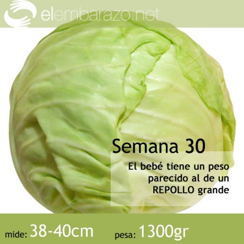 Semana 30 de gestación