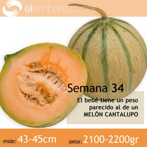 Semana 34 de gestación