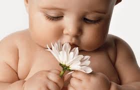 bebe flor 2