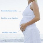 Cambios en el cuerpo de la mujer durante el embarazo