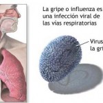 Influenza(gripe) en el embarazo
