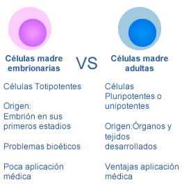 celulas-vs