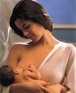 La lactancia no es un método anticonceptivo porque la ovulación puede dentro de etapa