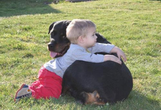 Perro y niño