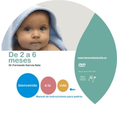 dos a seis meses