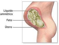 liquido amniotico