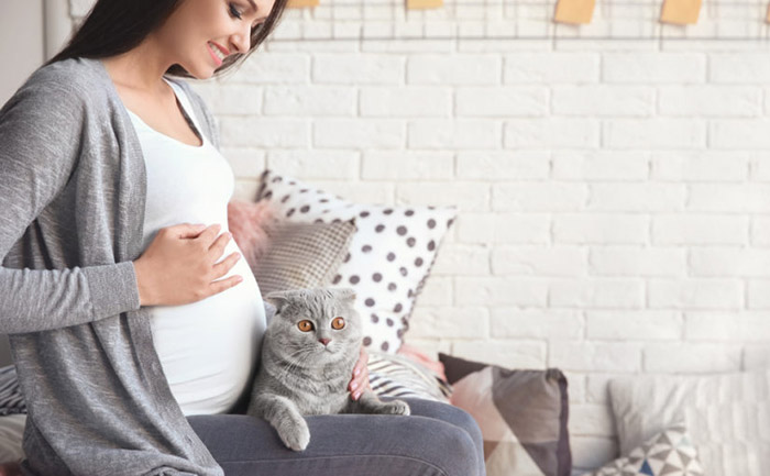 ¿Puedo tener un gato durante el embarazo?