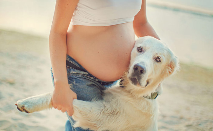 Conectado cuenca Discriminación Puedo dormir con mi perro si estoy embarazada?