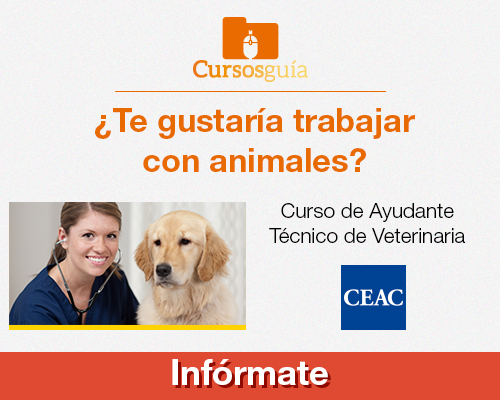 ayudante-tecnico-veterinario_cursosguia_ceacdomiciliaria_500x400