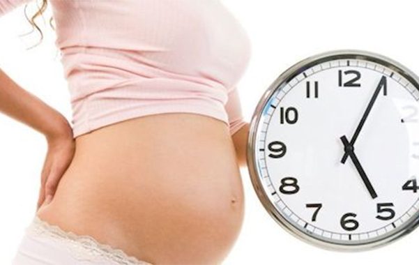 calendarios de embarazo