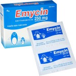 E-Mycin embarazo