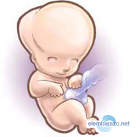 molestias embarazo 3 meses