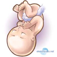 molestias embarazo 7 meses