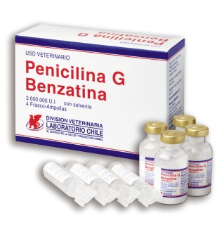Penicilina G benzatina en el embarazo