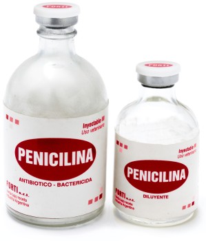 Medicamento Penicilina inyectable embarazo