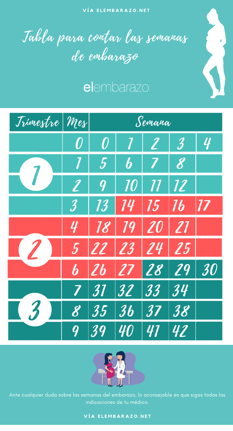 Cómo contar las semanas y los meses del embarazo