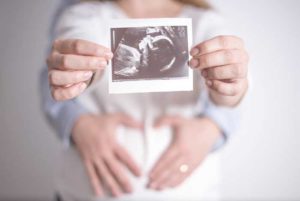 Diferencia entre zigoto, embrión y el feto