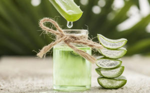 Aplica aloe vera para las hemorroides en el embarazo