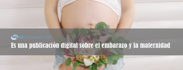quienes-somos-elembarazo