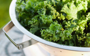4 Beneficios de comer kale en el embarazo que no debes ignorar